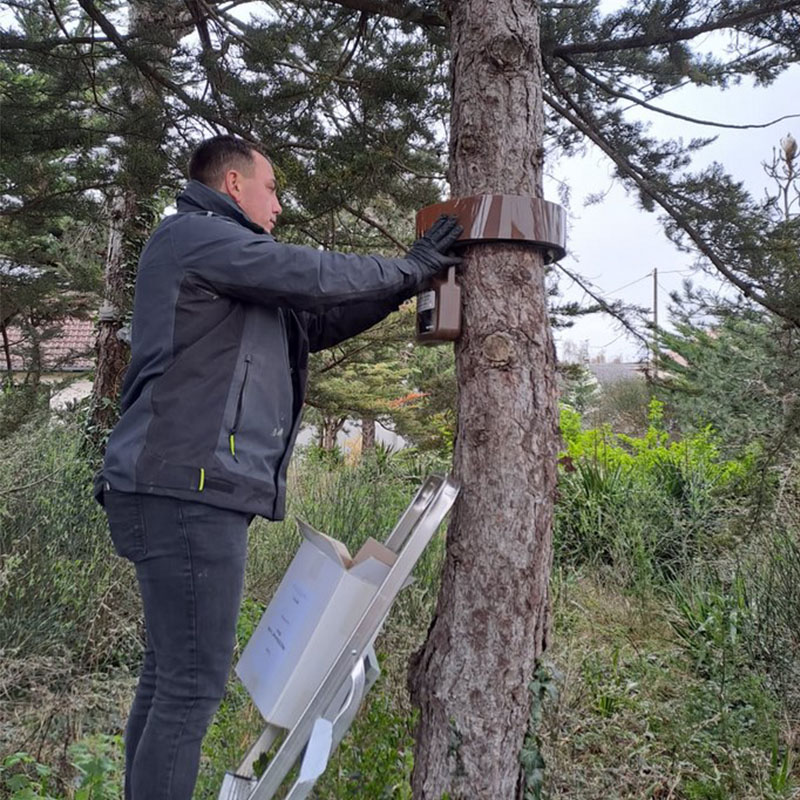 Entreprise de lutte anti nuisible près d'Avranches