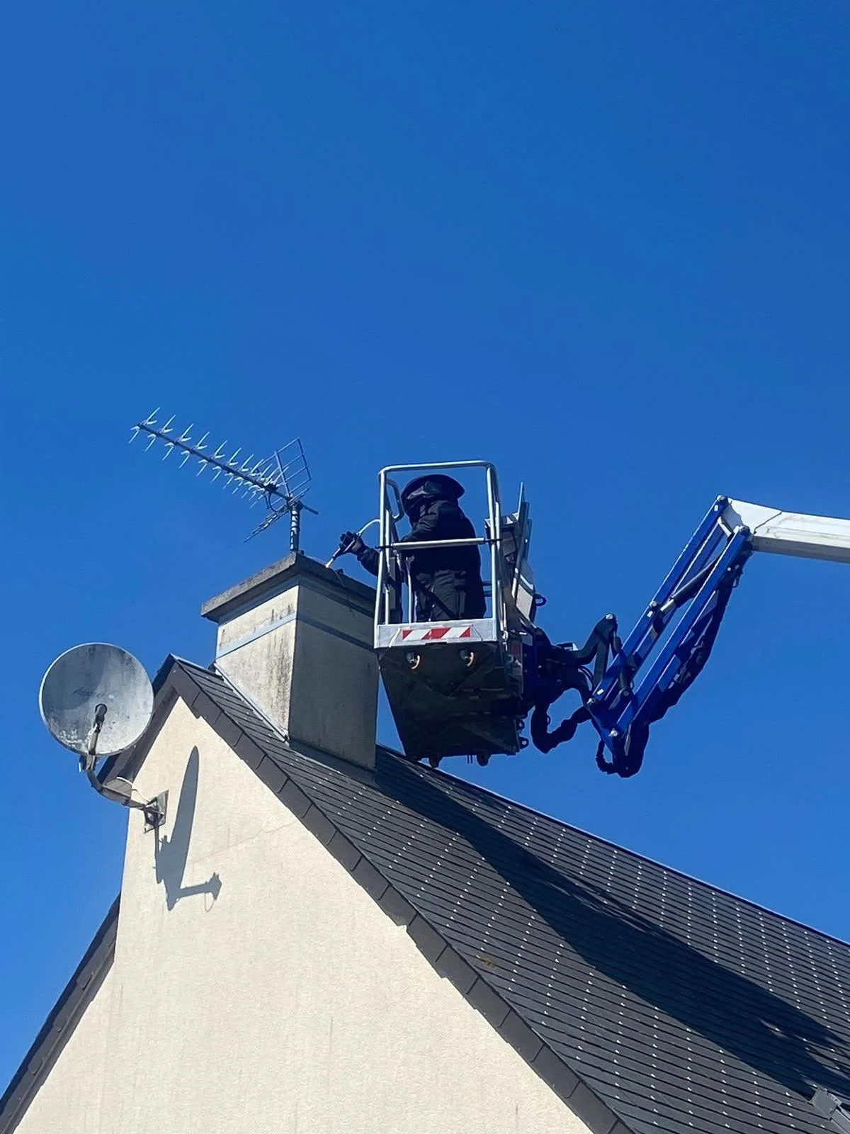 Désinsectisation guêpe et frelon à Avranches